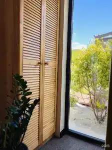 Little Palm - 20