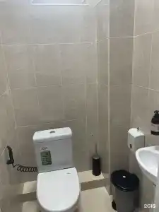 Пальмира - 33
