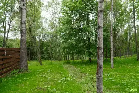 Мой маленький лес - 42