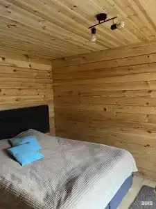 Облепиха - 15