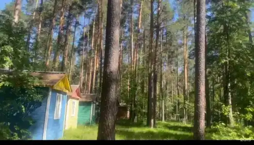 Прибрежный - 54