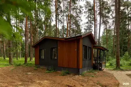 Тихий Лес - 20
