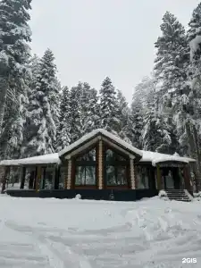 Wood palace - 67