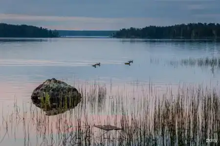 Карелия - 34