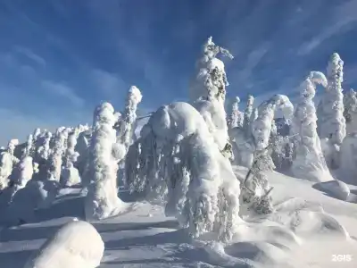 Ниска - 14
