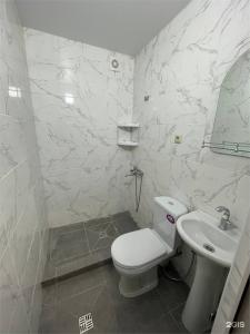 Березка - 117