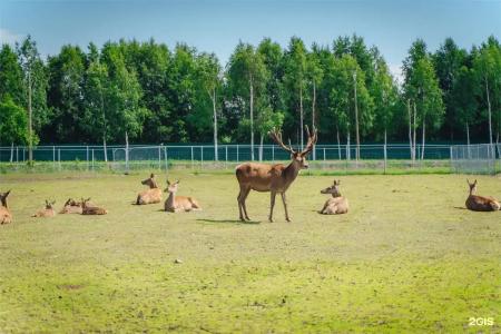 Черные камни - 179