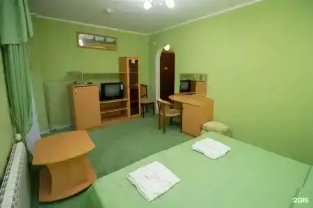 Аист - 107
