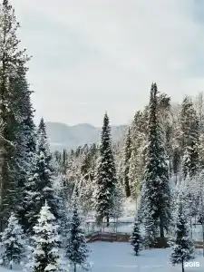 Куатанг - 96