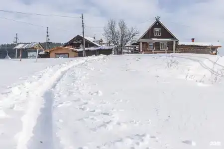 Медведь - 122
