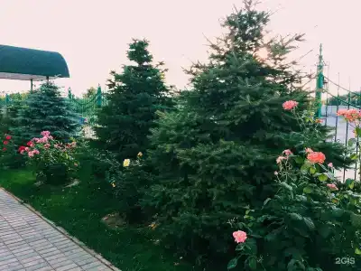 Тихий Дон - 42