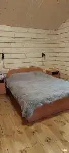 Кедровая роща - 41