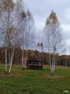 Птица счастья - 43