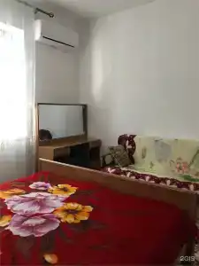 Березка - 146