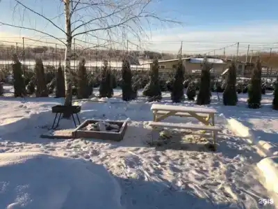 Маруся - 37