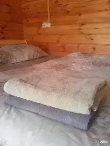 Елочки - 77