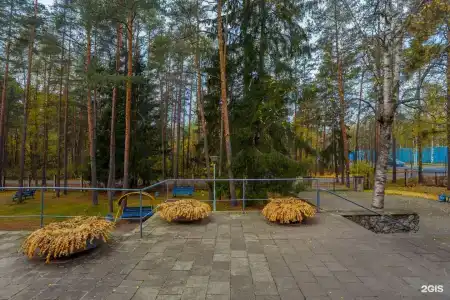 Комарово - 3