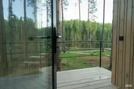 Пруды и сосны - 47