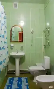Кедровый бор - 37