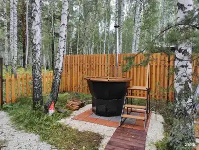 Лесовик 66 - 45