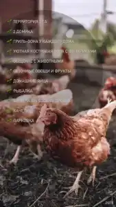 Кевда - 1