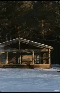 Шинки - 12