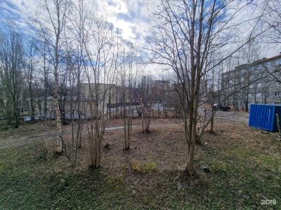 Loparochka - 157