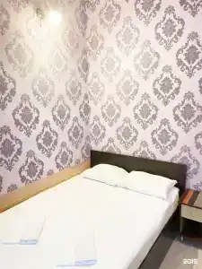 Калатея - 51