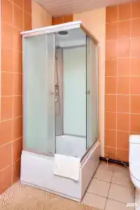 Пантера - 33