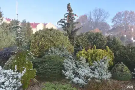 Вишневая поляна - 40