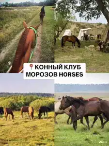 Дорские просторы - 86