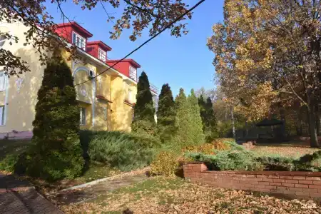 Вишневая поляна - 61