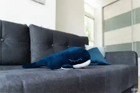 Whale apart - 126