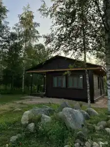 На опушке леса - 6