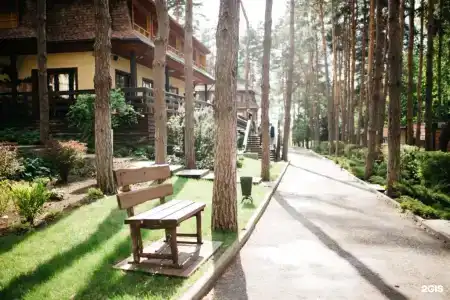 Донской лес - 36