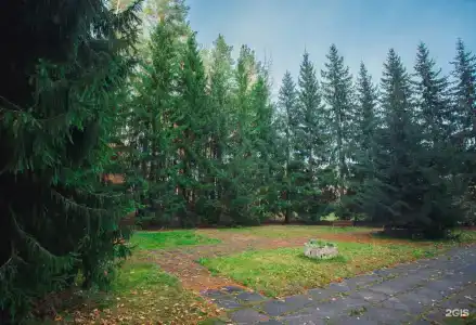 Театральный - 25