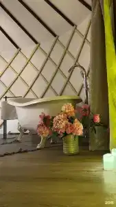 Yurt Resort - 28
