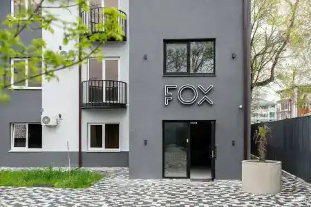 Fox - 19