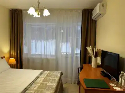 Десна - 239