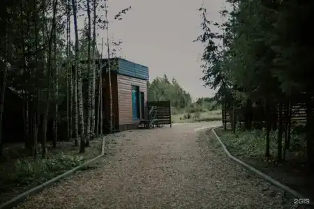 Старый дуб - 35