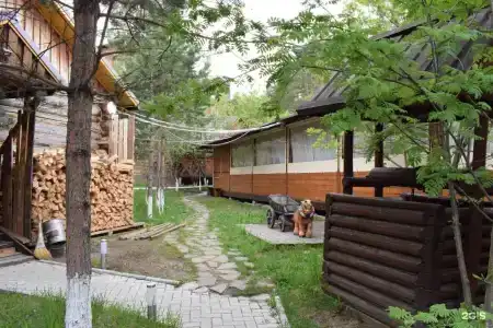 Лесная Поляна - 17