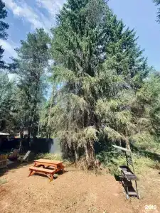 A-frame Friday - 31