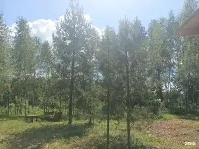 Лесной сон - 53