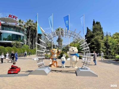inSochi  - 37