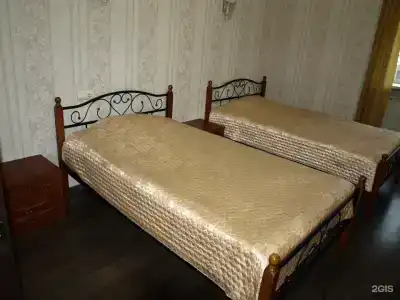Зебра - 65