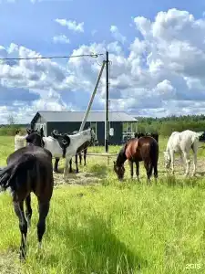 Дорские просторы - 55