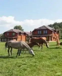 Свияга - 218