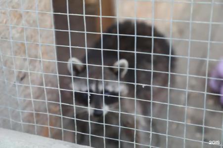 Беной Тревел Озеро - 37