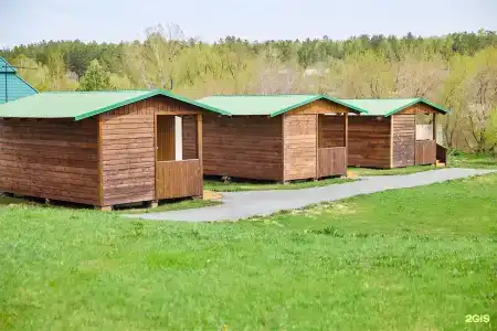 Сосновый бор - 192