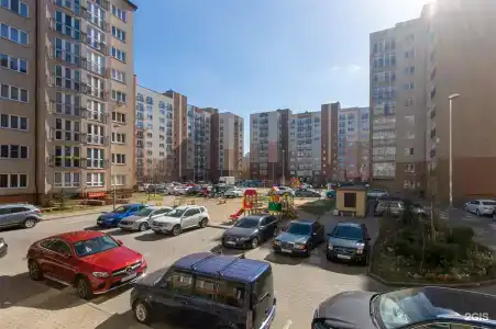 на Шахматной - 11